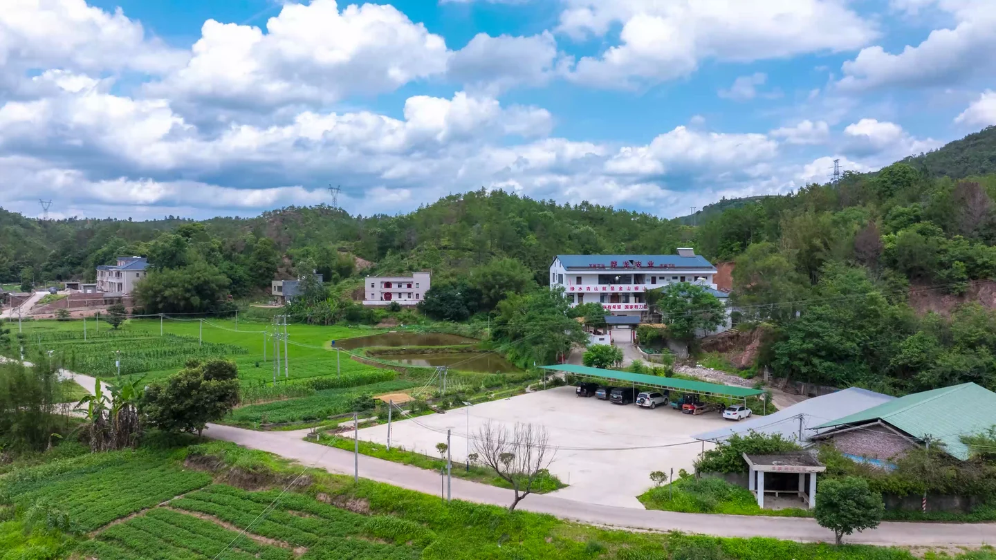 建筑与山坡